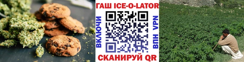 продажа наркотиков  МЕГА ссылка  Печенье с ТГК конопля  Купино 