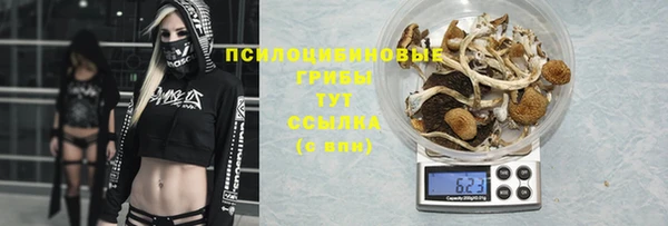 бошки Арсеньев