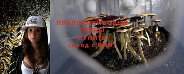 мескалин Аркадак